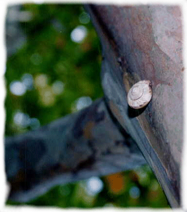 p1.gif (117698 �o�C�g)