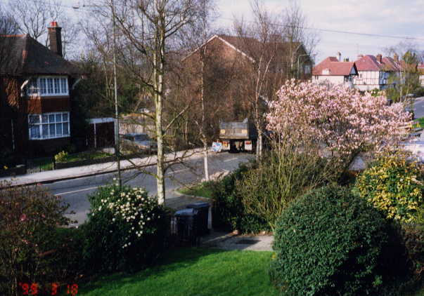 view.jpg (45152 �o�C�g)